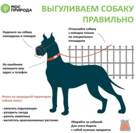 Закон выгула собак в общественных местах 2022