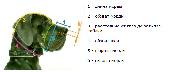 Как выбрать намордник для собаки?